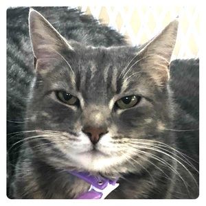 Meet your Posher, Candice